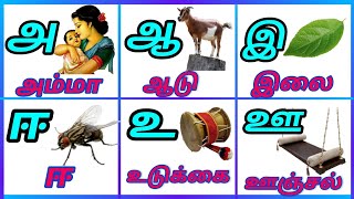 Uyireluthukkal/உயிர் எழுத்துக்கள்/அ அம்மா ஆ ஆடு/அஆஇஈ/Tamil Alphabets/Basic Tamil letters