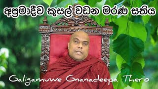 මරණය, මරණ සතිය, අප්‍රමාදීව කුසල් වඩන මඟ.- Galigamuwe Gnanadeepa Thero