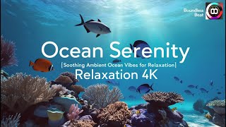 Ocean Serenity | Soothing Ambient Ocean Vibes for Relaxation [4K]