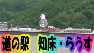 道の駅　知床・らうす　世界遺産　world Heritage　50日間　車中泊　北海道一周の旅2020