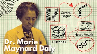 How Dr. Marie Maynard Daly Changed the Sciences Forever