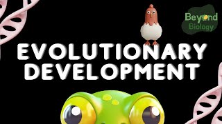 Beyond Biology: Evolutionary Development