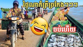 ទន្លេសាប ត្រីធំៗទៅណាអស់ហើយលោកអើយ 🐟😂 || Freshwater Fish Market KH [Ep. 472]