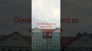 Wetterbericht für diese Woche 😺