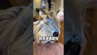 黑白两段发色的补漂攻略 #haircuttingstyle #洛杉矶染发 #洛杉矶健康漂发