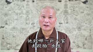 佛教节日开示：观世音菩萨圣诞｜悟道法师主讲