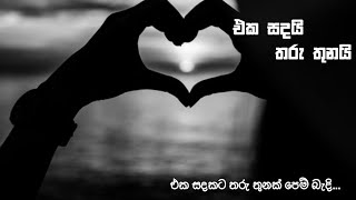 එක සදයි තරු තුනයි 03 දිගහැරුම.