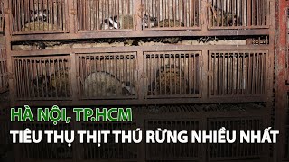 Hà Nội, TP.HCM tiêu thụ Thịt Thú Rừng nhiều nhất| VTC14