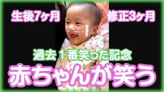 【生後7ヶ月 修正3ヶ月】赤ちゃんがただひたすら笑う動画 過去一番笑いました