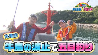 牛島の波止で五目釣りに挑戦！｜FiSHパレード（2022年6月26日放送）