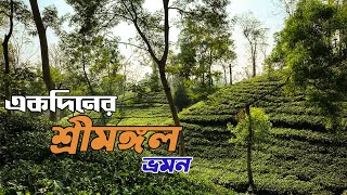 শ্রীমঙ্গল ভ্রমণের সবকিছু ২০২৫ 🇧🇩 | Sreemangal Tour | Dhaka to Sreemangal Day Tour | শ্রীমঙ্গল ভ্রমণ