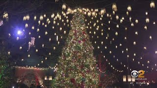 Christmas trees, holiday lights going up across Tri-State Area