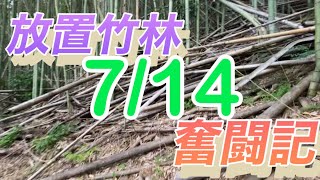 放置竹林奮闘記【サラリーマンが竹を切る日々】2023/07/14