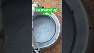 పార్ట్2 ,కల్లు తాగడానికి వెళ్తే.. #naturalpalmwine #thaatikallu #godavaripeople #chagallu #vlogs