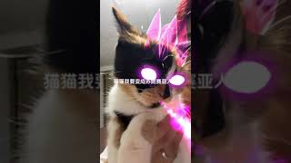 #一秒变身战斗猫猫 #萌宠出道计划 #猫咪 #记录猫咪日常 #猫猫：你礼貌吗