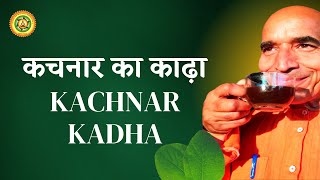 कचनार का काढ़ा कैसे बनाएं | Kachnar ki Kadha