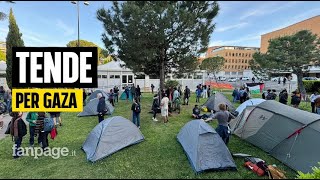 Tornano le tende a La Sapienza: studenti accampati per la Palestina