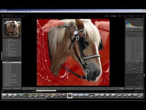 Lightroom 5: Radial Filter and Adjustment Brush Lightroom 5: Radial Filter and Adjustment Brush