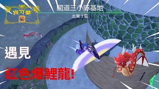 寶可夢朱紫|遇到野生紅色爆鯉龍!|Pokemon scarlet/violet encountered shiny Gyarados #色違 #寶可夢朱紫 #shiny