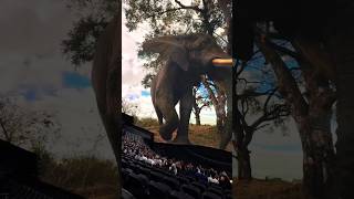 3D video view in elephant || #nature #elephant #3d #trending