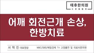 스포츠손상(24)-  회전근개 손상의 한방치료 (한의사 서혁진)