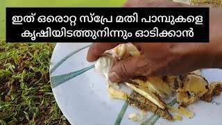 ഇതൊരു തവണ സ്പ്രേ ചെയ്താൽ മതി പാമ്പുകൾ ആ ഭാഗത്തെ വരില്ല 👍👍👍