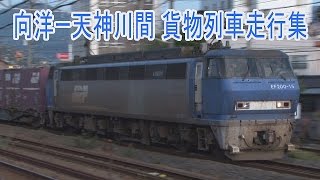 【ST走行動画】貨物列車走行集 山陽本線向洋ー天神川