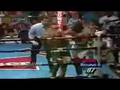 Roy Jones Jr: The Career Highlight: Vol. 1- Part 2