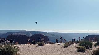 Grand Canyon - 241023 - Video 2