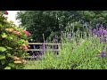 “The Forgotten Song” ACIM Reading (T-21.I)