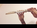 Chandelier (Flute Cover)- Sia