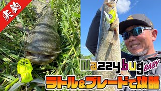 【デイナマ】ナジーバグベイビーで濁り攻略！ Fishing for Catfish in JAPAN