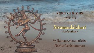 2/4 ശിവാനന്ദലഹരി by ശ്രീ നൊച്ചൂർ സ്വാമി । Sivananda Lahari by Sri Nochur Acharya (Malayalam)