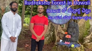 Indian temple With Rudraksha trees in Hawaii || Rudraksha Forest in Hawaii