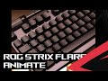 ROG Strix Flare II Animate | ASMR Switch