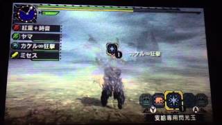 【MHX】円舞獰乱 10'58 ・狂撃狩猟団・