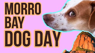 Dog Friendly Morrow Bay 2026 • Pup Friendly Adventure Guide #dogfriendly #morrobay