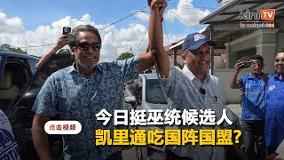 巫统大败下场会如何?   凯里: 反正他们都不会在意