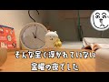 金曜日！そして給料日！！だがしかしおとなしく過ごす仕事終わりvlog