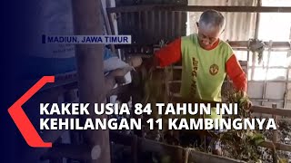 Kakek Usia 84 Tahun di Madiun Jadi Korban Pencurian Hewan Ternak, Kerugian Ditaksir Capai Rp15 Juta!