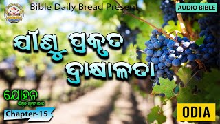 ଯୀଶୁ ପ୍ରକୃତ ଦ୍ରାକ୍ଷାଳତା | John 15 | Audio Bible Odia | Holy Bible odia | New testament