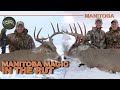 160” Manitoba Buck (Non-Stop Action) | Canada in the Rough