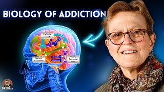 The Biology of  Addiction, Full Lecture | Vera Tarman MD
