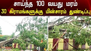 சாய்ந்த 100 வயது அரசமரம்... 30 கிராமங்களுக்கு மின்சாரம் துண்டிப்பு