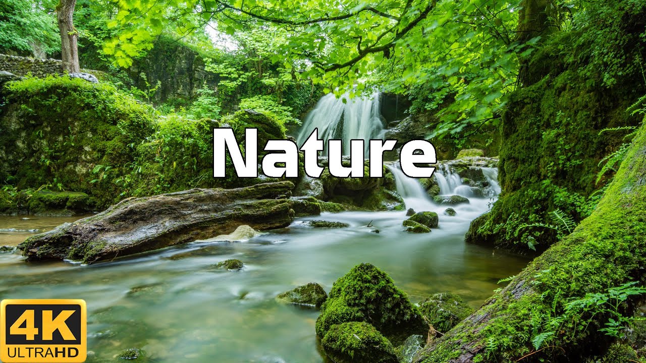 Wonderful Nature In 4k Uhd Relaxing Music With Beautiful Nature Films