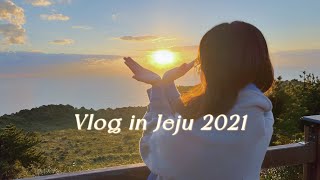 韩国vlog｜有且只有一次的城山日出峰🌄｜山君不离十一月的紫芒｜辣炖带鱼🐟🍲｜黑猪五花肉吃到爽｜济州岛星巴克甜品全试吃🍰｜#184