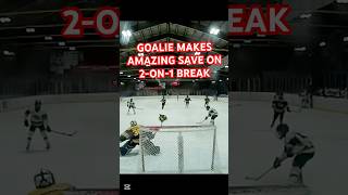 Goalie Makes Amazing Save On 2-On-1 Break #Hockey IceDogs #30 Tsourakis