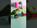 cute parrot funny video