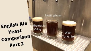 3 MORE English Ale Yeasts Part 2 [Side By Side Comparison] - Brew Dudes