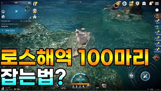 [검은사막M] 대양 1일차 총정리 가이드 포탄을 최대한 아끼세요! 로스해역 100마리 잡는법?[2020.09.09]